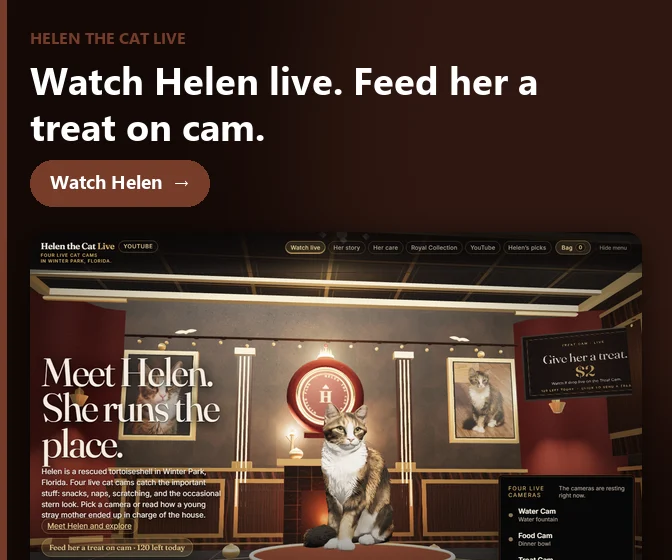 Helen the Cat Live: Four live cat cams in Winter Park. Feed Helen a treat on cam.